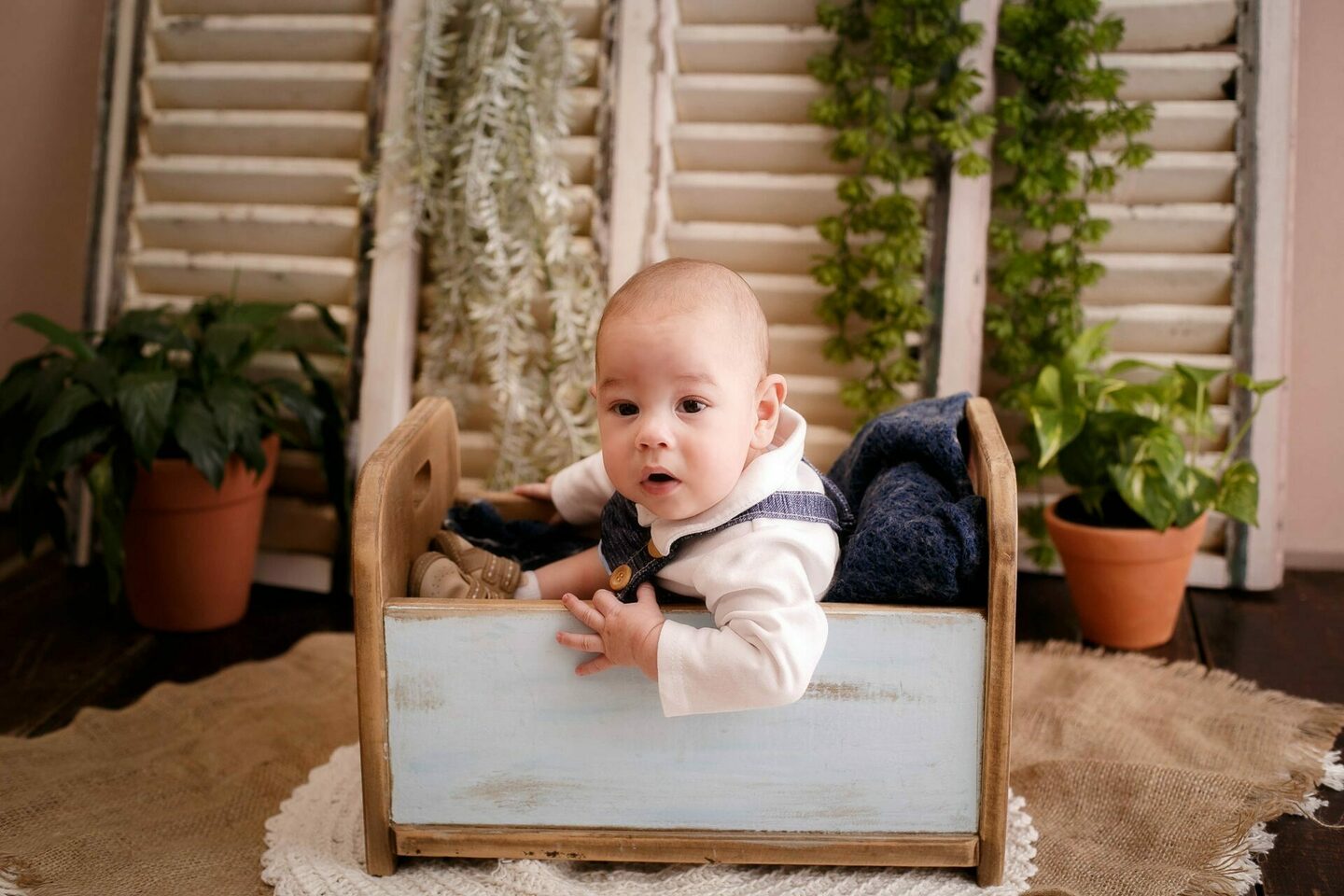 Bebês - Acompanhamento