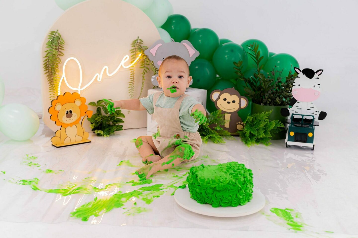 Smash the cake - Primeiro aninho